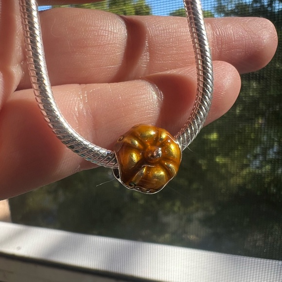 Pumpkin Charm - Picture 6 of 14